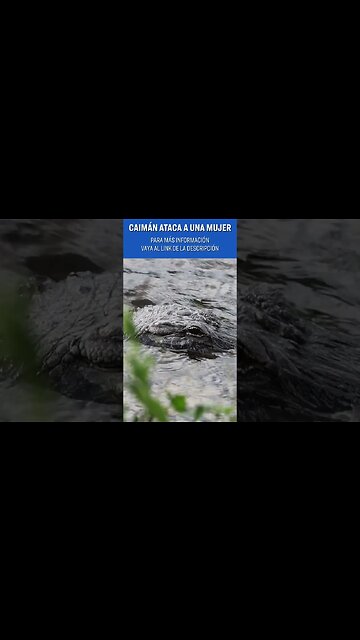 Juez bloquea a admin Biden por censura; Persiguen a camión con inmigrantes ilegales NTD Día [5 jul]