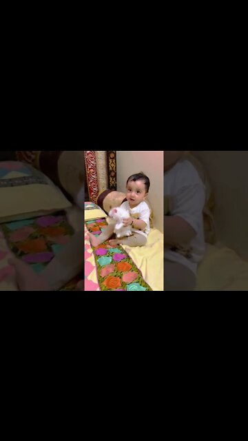 Funny Cats and Kittens Meowing Compilation&Baby Cats -Cute and Funny Cat Videos #shorts (3)