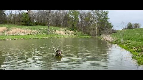 Ambient Kentucky Audio Pond