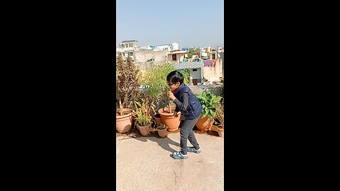 my son dance