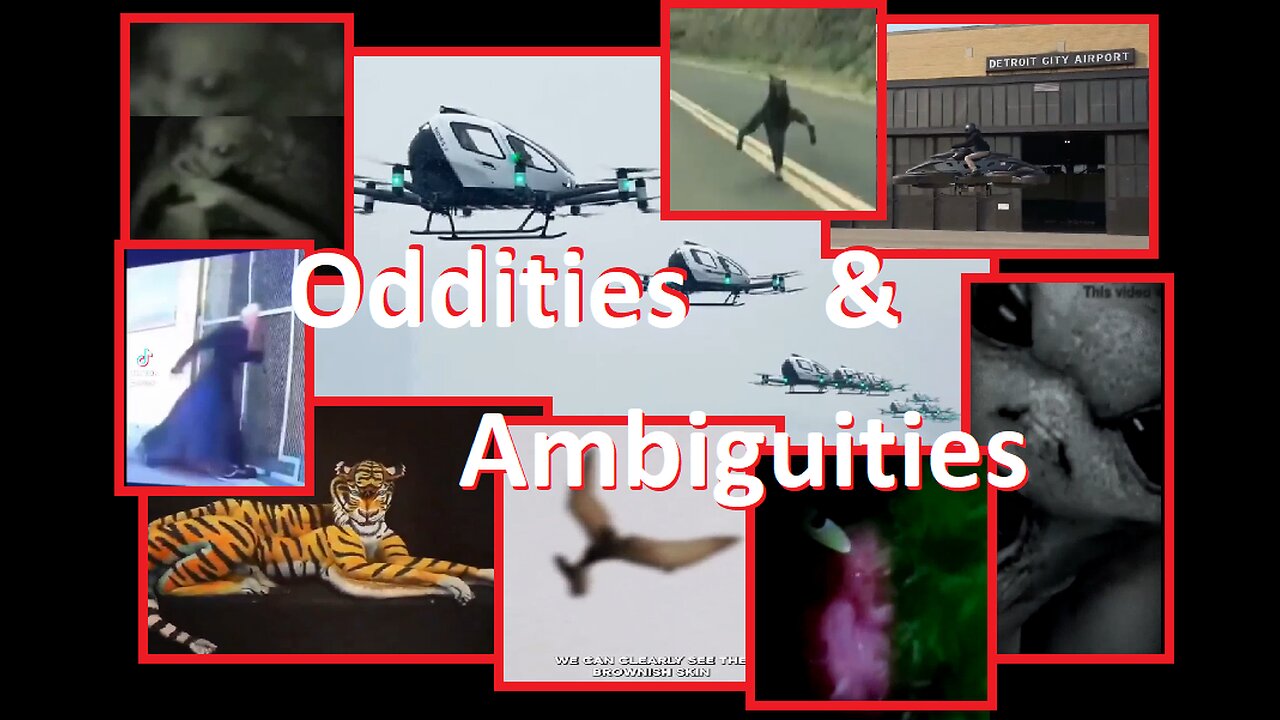 ODDITIES & AMBIGUITIES