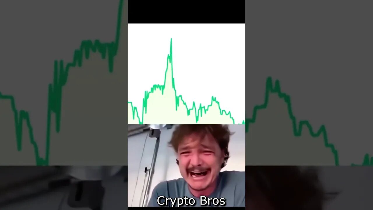 Crypto Bros BTFO'd