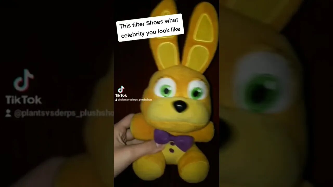 This filter shows what celebrity you look like :Springbonnie #fnafplush #fnaf #jeffy #gabesworld