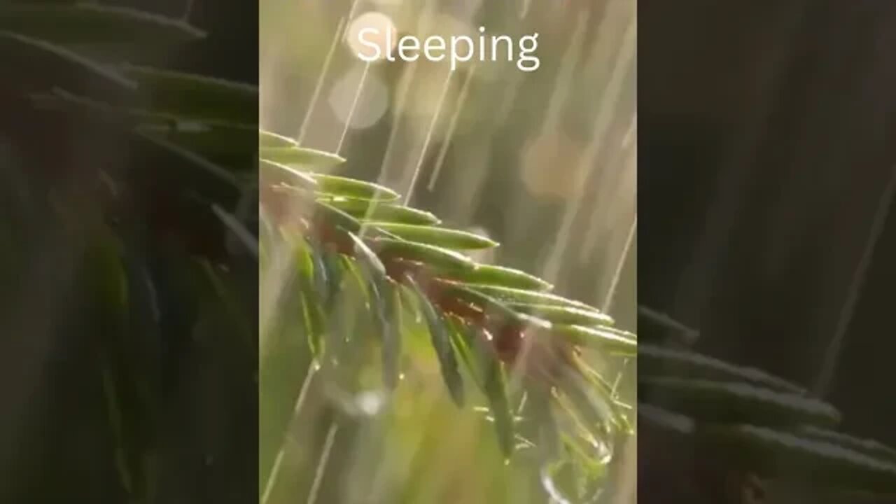 Rain Sounds for Sleeping/Rain and Thunder Sounds for Sleeping/#shorts