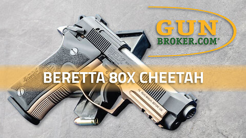Beretta 80X Cheetah .380 ACP - The Latest Addition to a Classic Pistol