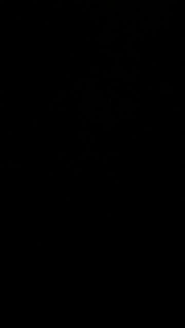 Commodity futures forecasting