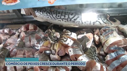 Quaresma: Comércio de Peixes Cresce durante o Período.