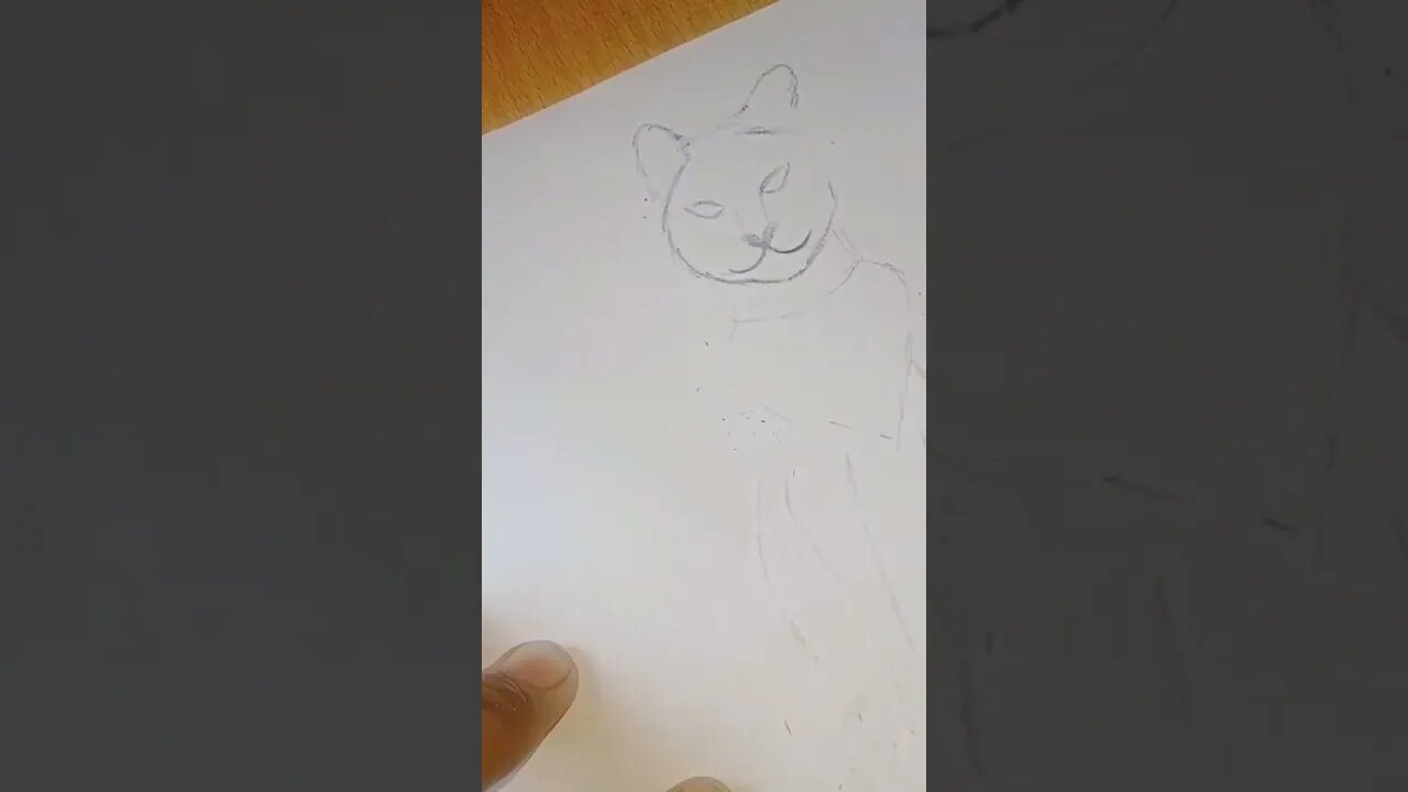 cute 😺🐈