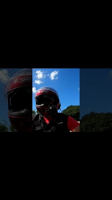 100% American Harley Davidson | Undisputed