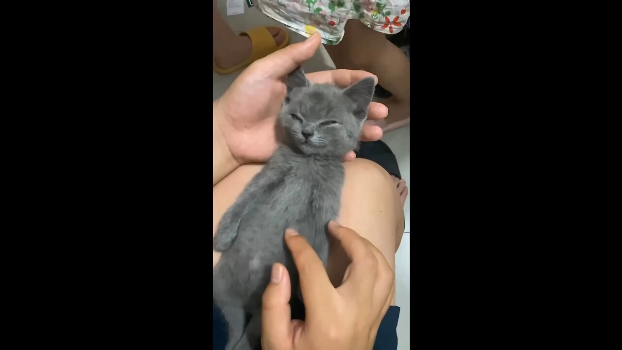 🤣