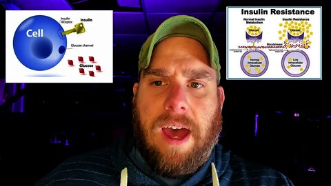 How to Get Rid of INSULIN RESISTANCE with HIGH CARB LOW FAT | Plant Based Diet