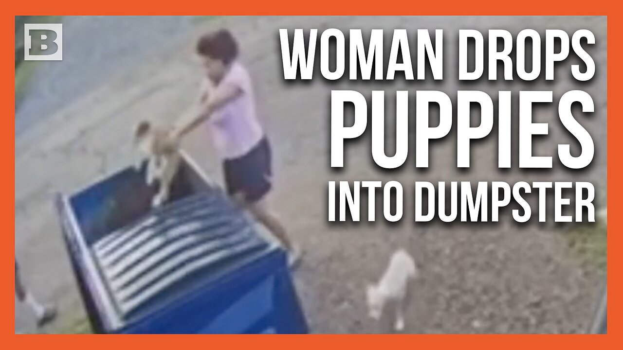 Demonic! 2 People Arrested After Woman Seen Throwing Puppies into Dumpster