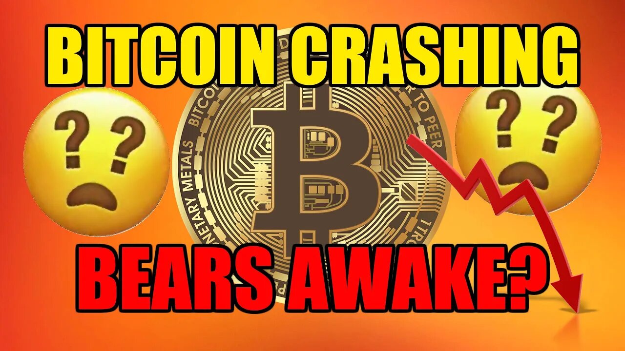 Crypto Is Crashing But Why | Are The BEARS Here?