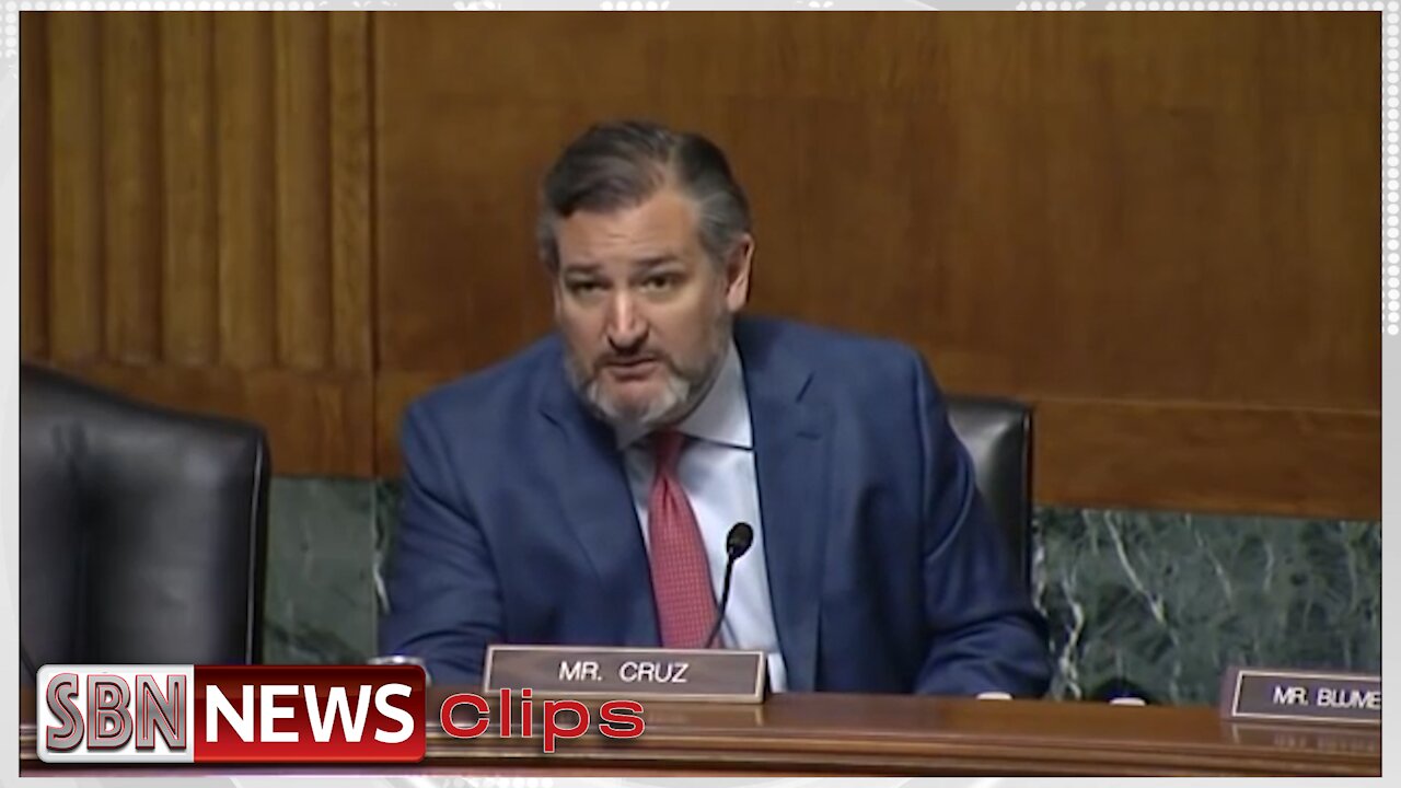 Ted Cruz Hits at Democrats for Ignoring Ballot Harvesting Issues - 4679