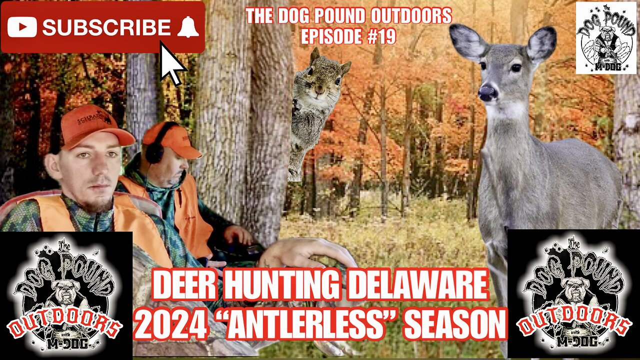 DEER HUNTING 2024! OCTOBER ANTLERLESS SEASON IN DELAWARE!