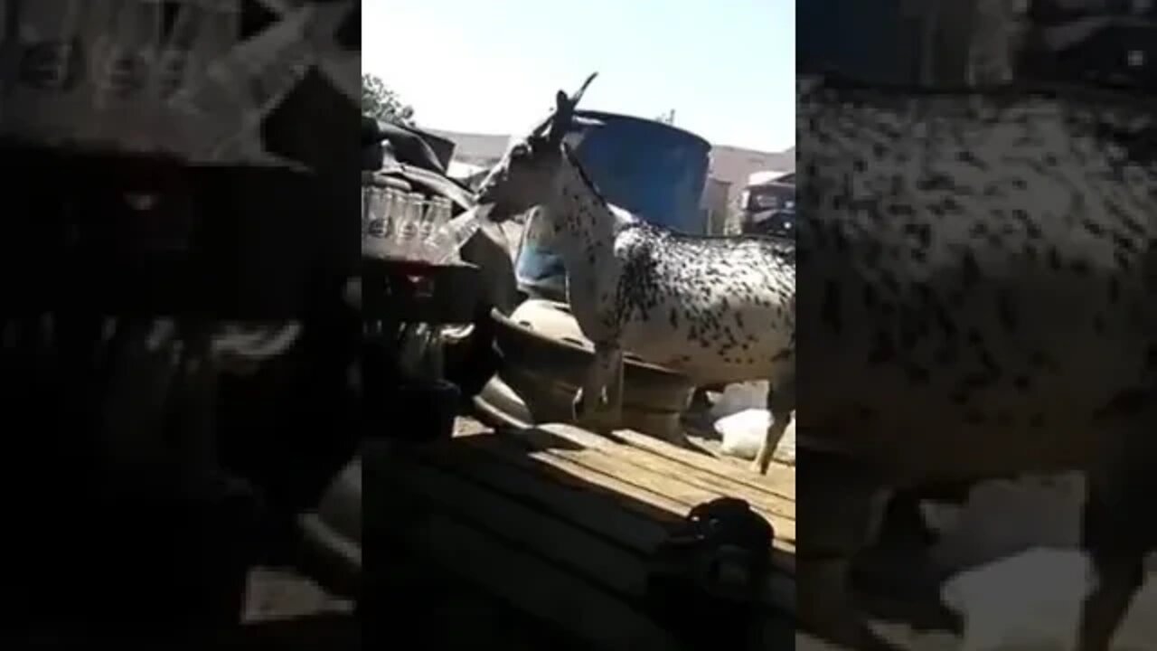 ١٠ نوفمبر، ٢٠٢٢