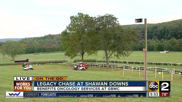 On the Go at Shawan Downs