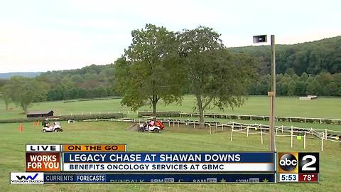 On the Go at Shawan Downs