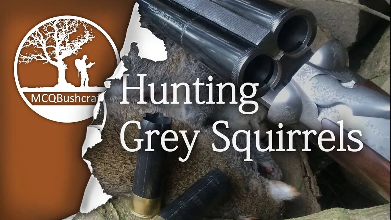 Bushcraft Hunting Grey Squirrels with a Shotgun
