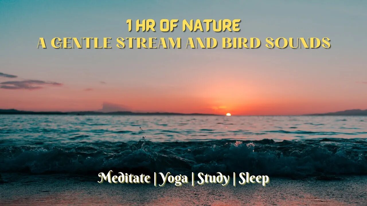 1 HR Of Nature|A Gentle Stream And Bird Sounds|Meditate|Yoga|Study|Sleep