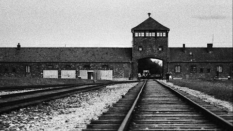 A Holocaust survivor offers hope and wisdom