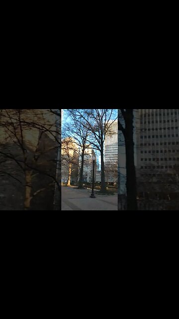 it's a dog eat dog world