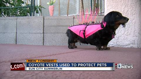 Coyote vests used to protect pets in Las Vegas