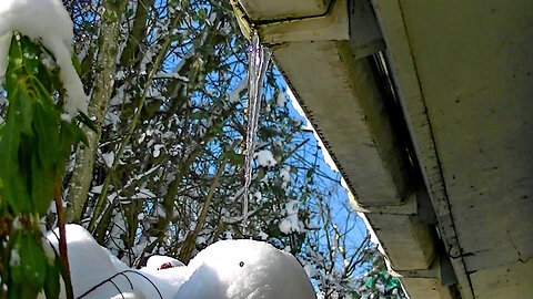 IECV NV #743 - 👀 Ice Sickles Hanging Off The Roof 2-5-2019