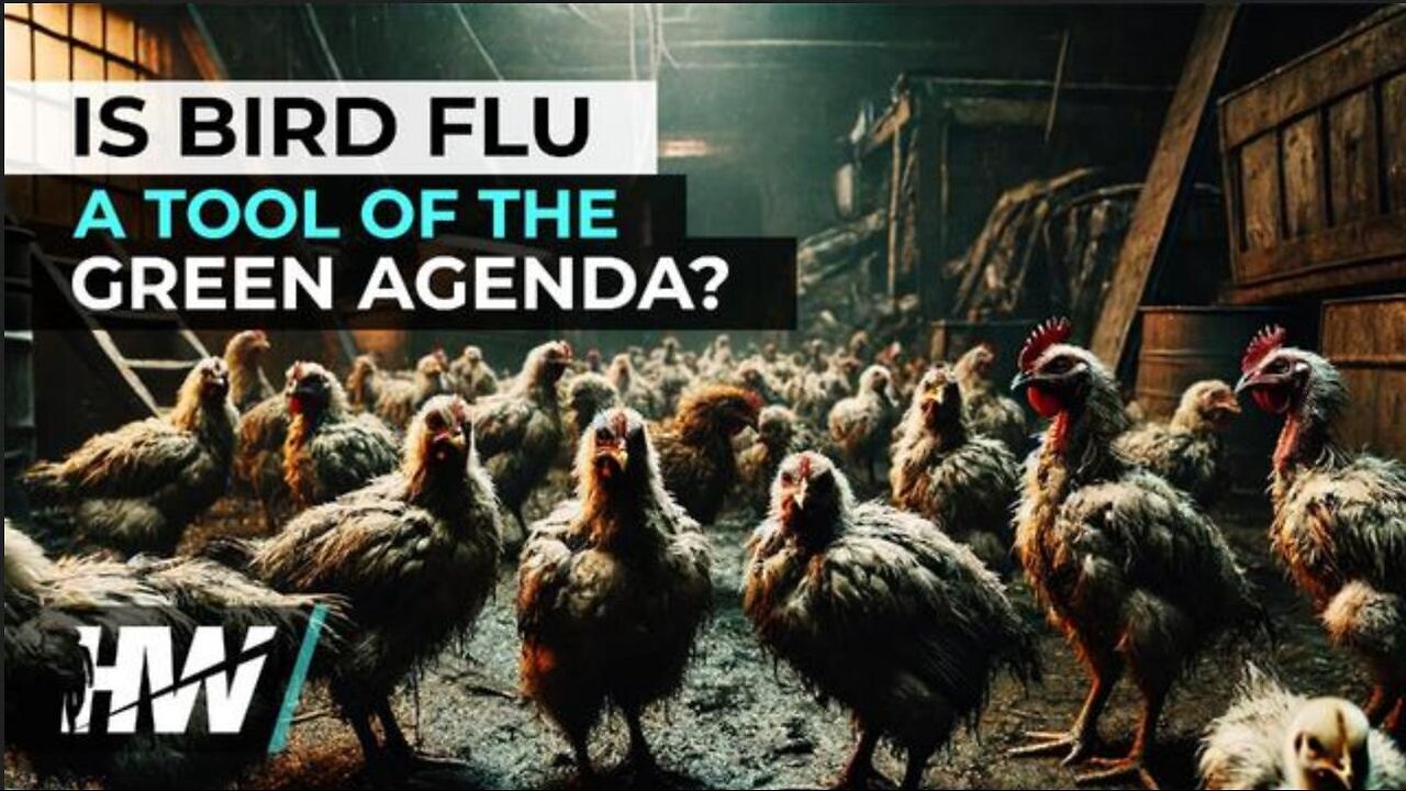 IS BIRD FLU A TOOL OF THE GREEN AGENDA? -Highwire with Del Bigtree (6.15.24)