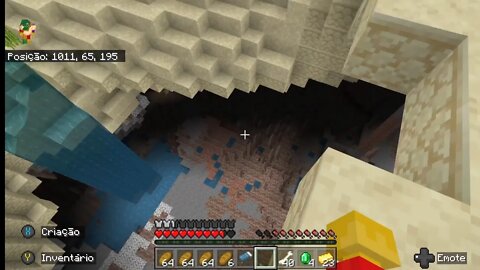 Minecraft - sobrevivência - PEDROSK GAMER -TWITCH - @NEWxXxGames #minecraft