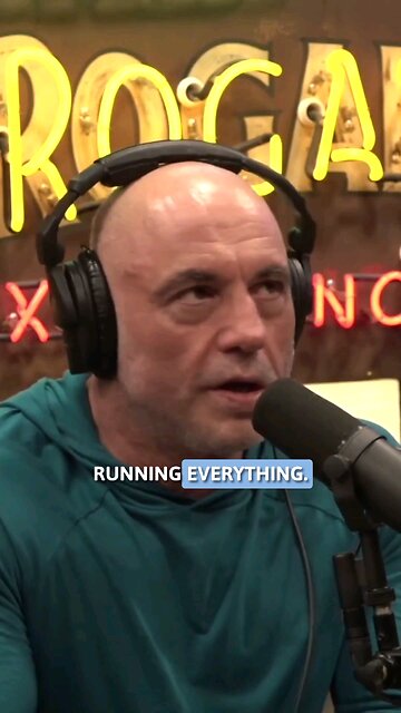 Do We Need Armed Protection? #protection #joerogan #love