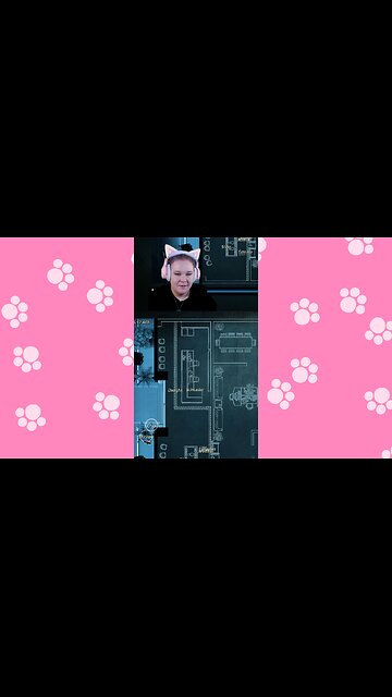 He wasn't too stupid to do this...