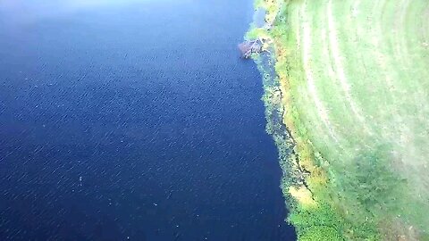 Aerial View Pond prior to spraying