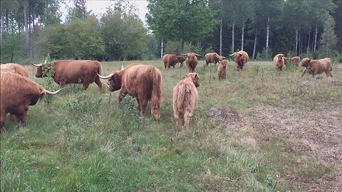 I Don't Want My Fields To Look Like That!