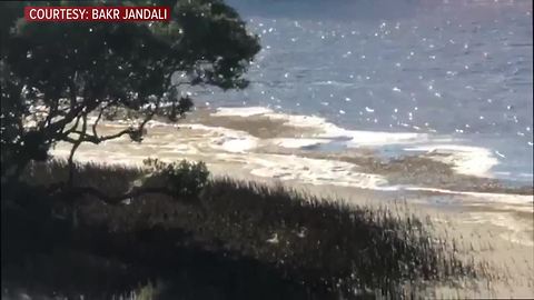 Video shows casino boat engulfed in flames while passengers jump into the chilly Gulf waters to escape