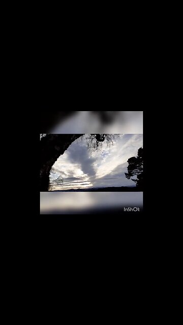 Scott Spalding - Ukulele Trees and Sun