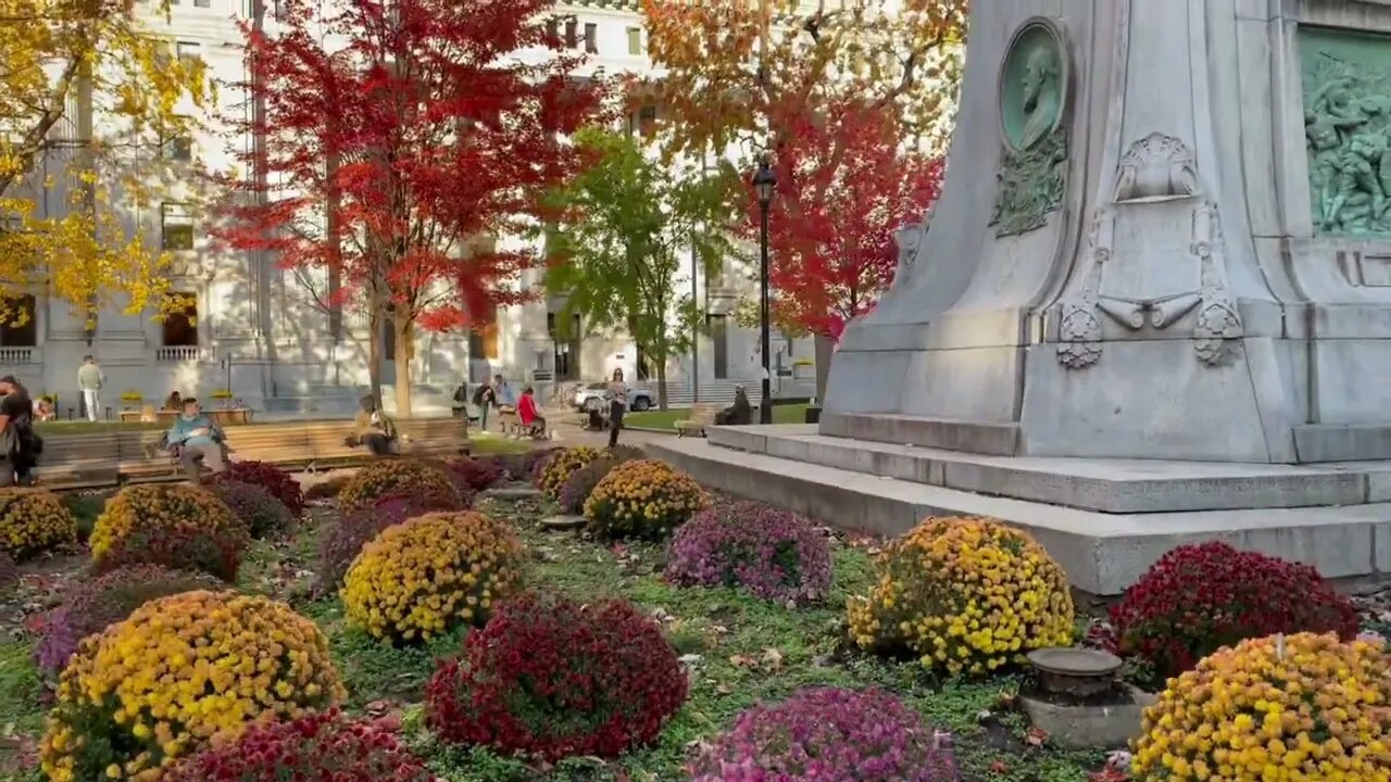 Dochester Square Amazing Automn Colors