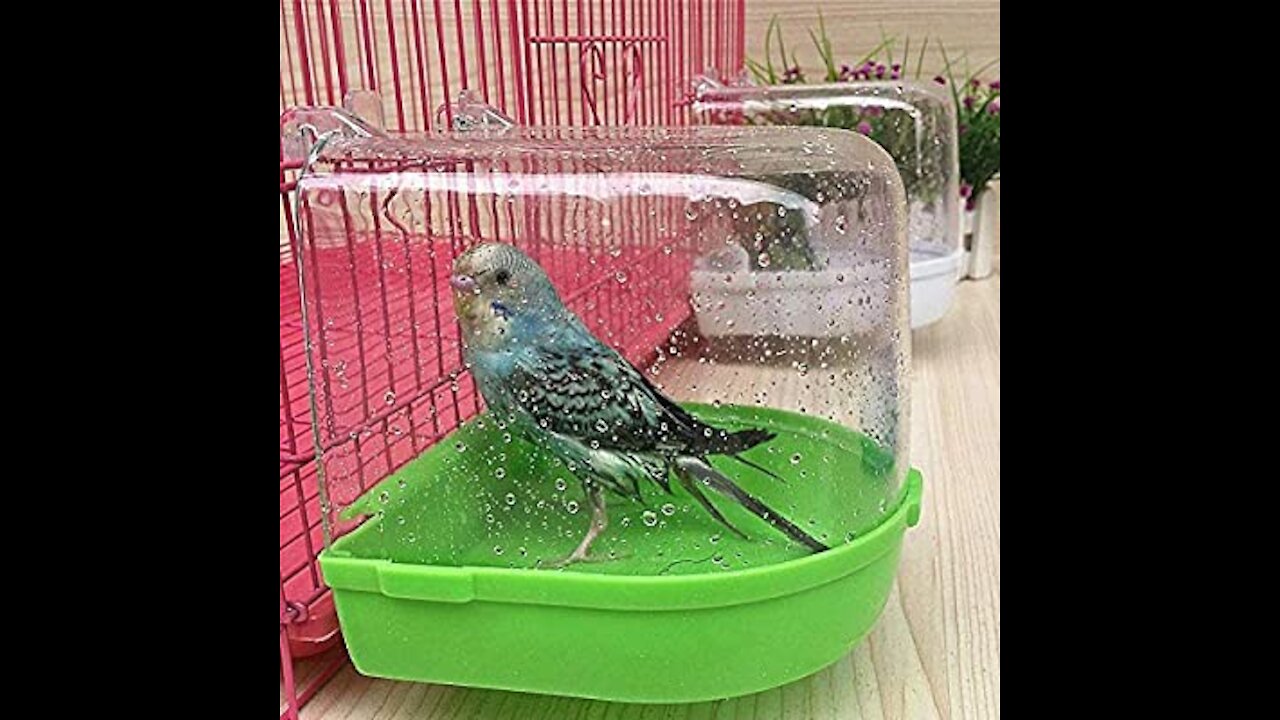 A parrot 🦜🦜bathes alone. Very cool😄😄