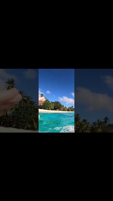 HOW CAN THIS BE REAL? Glowing blue ocean water! #shorts