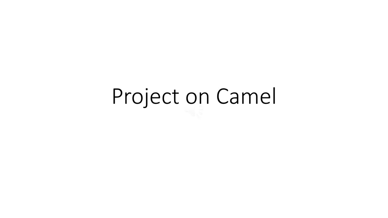 Project on Camel