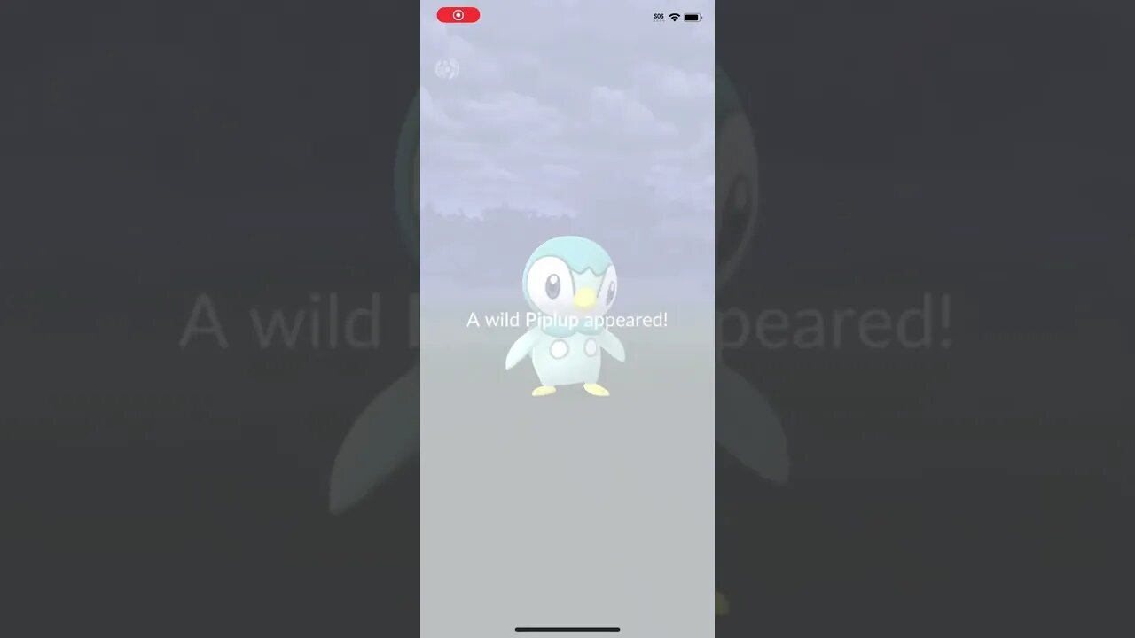 Shiny Piplup