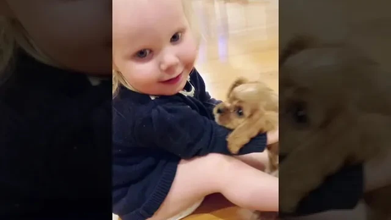 Kiddos who spend time with a dog develop responsibility & better self-esteem #cavalier #puppy
