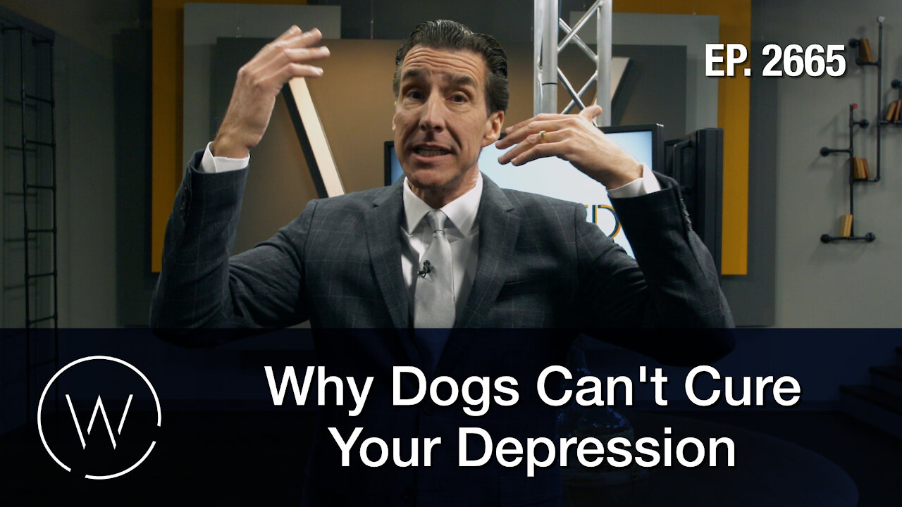 Why Dogs Can't Cure Your Depression
