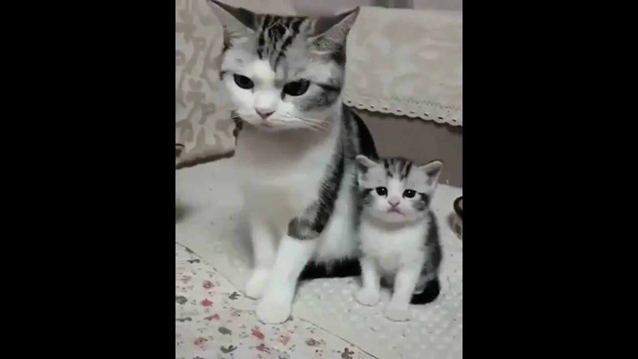 like mother like daughter 💕 😺