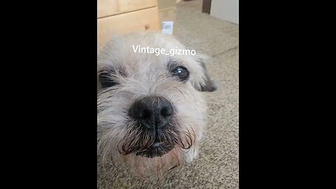 what a cutie