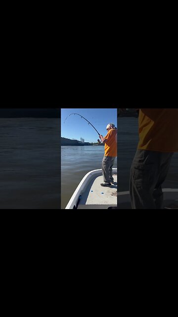 Amazing Jump!! A Giant!