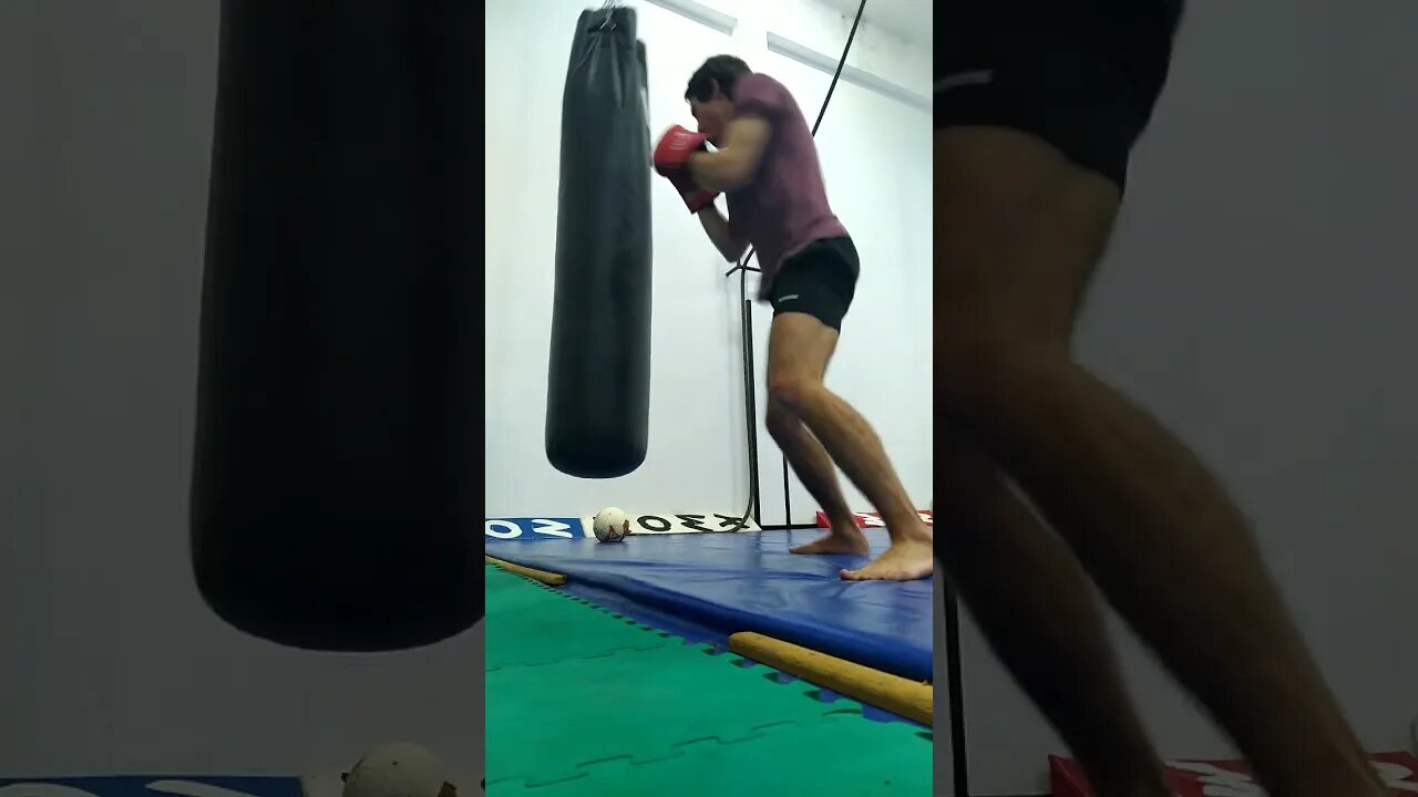 PunchThe Bag (50)