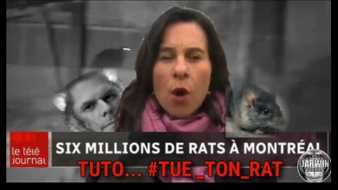 Tuto... Tue ton rat... 🐀