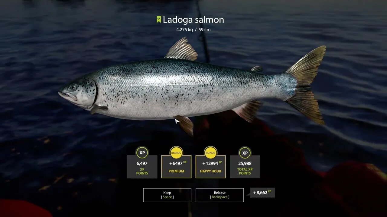 Russian Fishing 4 Ladoga Archipelago Ladogo Salmon 4 . 275 Kg