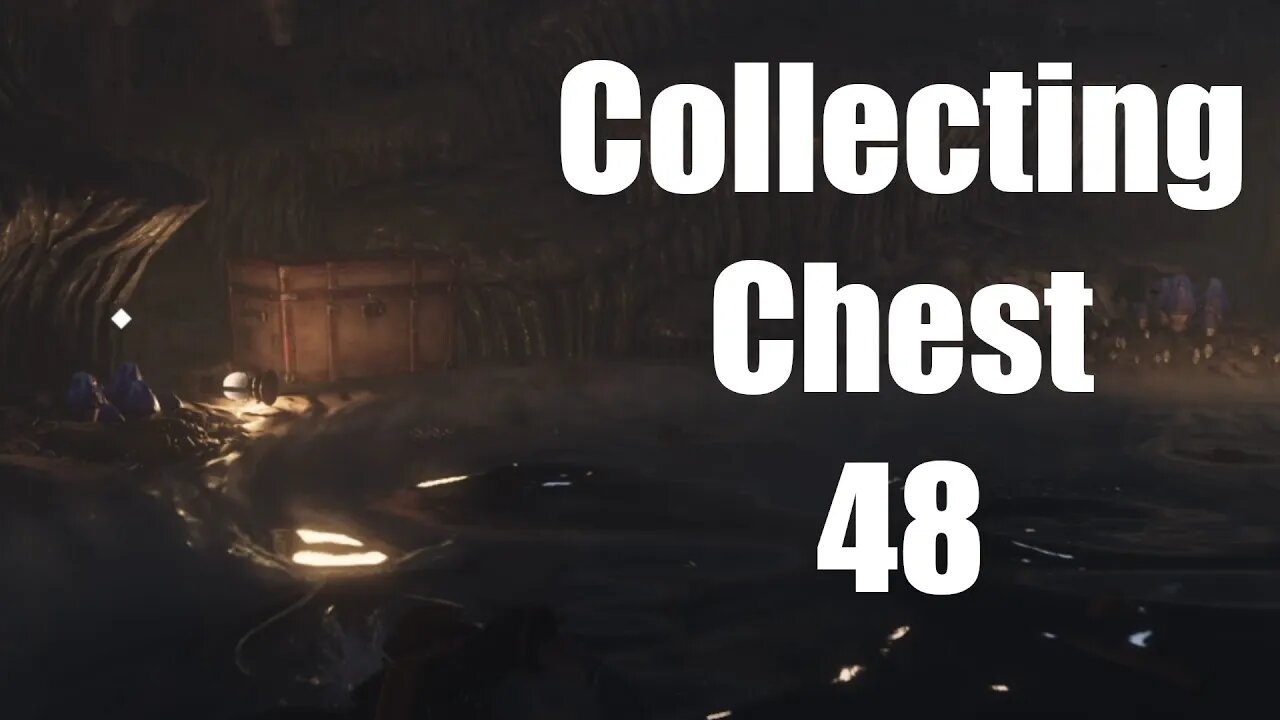 Hogwarts Legacy Collecting Chest 48